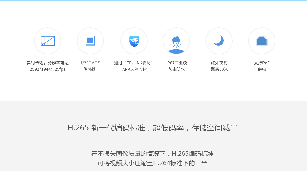 TL-IPC453P