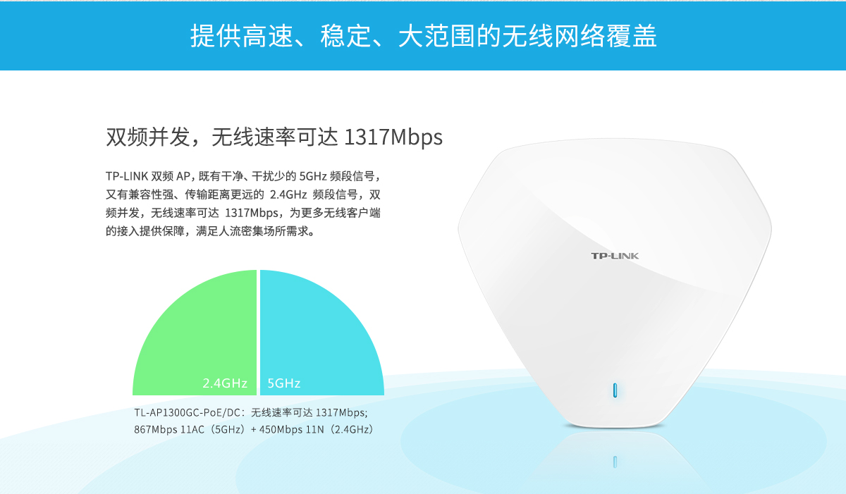 TL-AP1300GC-PoE/DC