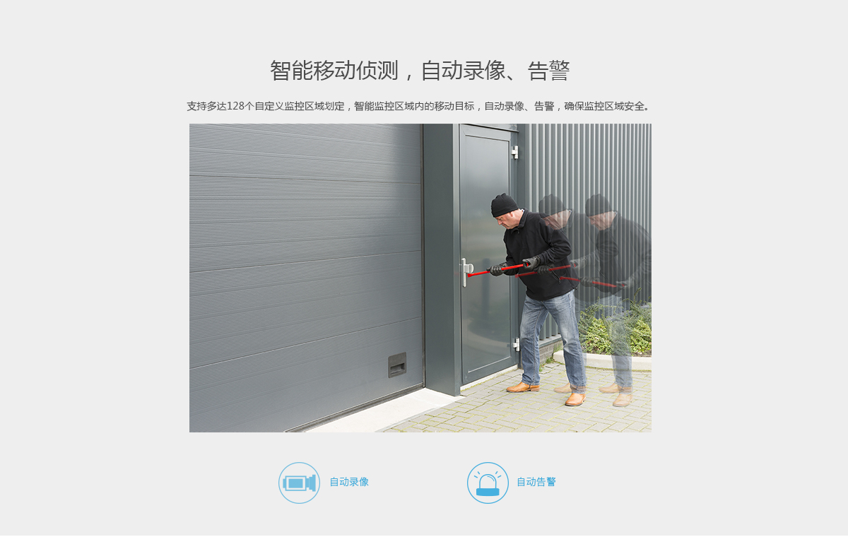 TL-IPC533P