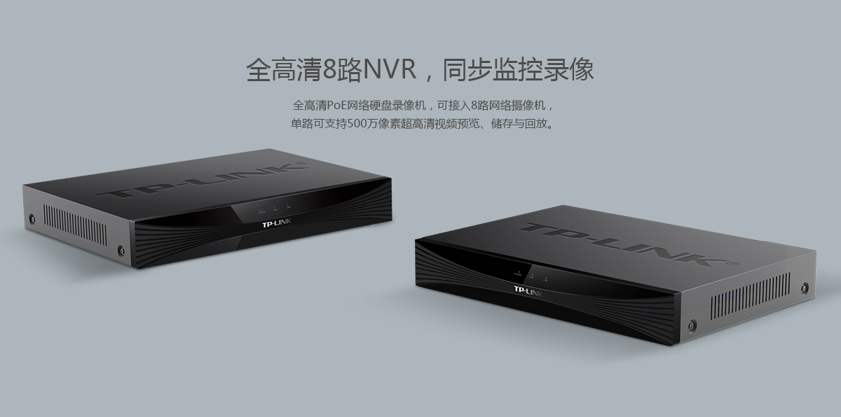 TL-NVR6108P